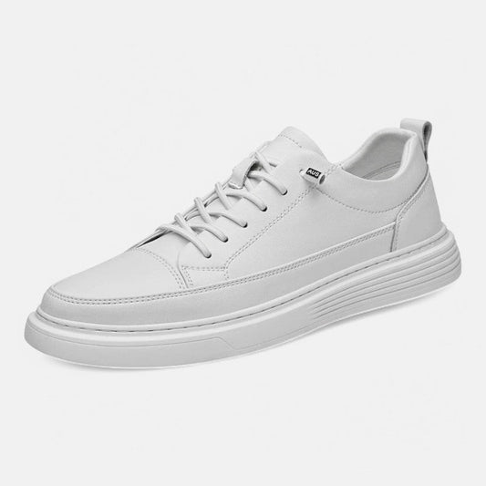 ALESSANDRO | Sneakers